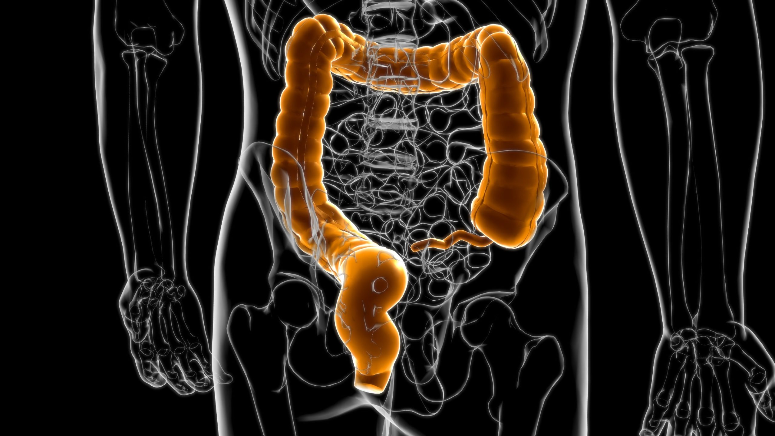 microbiote intestinal A