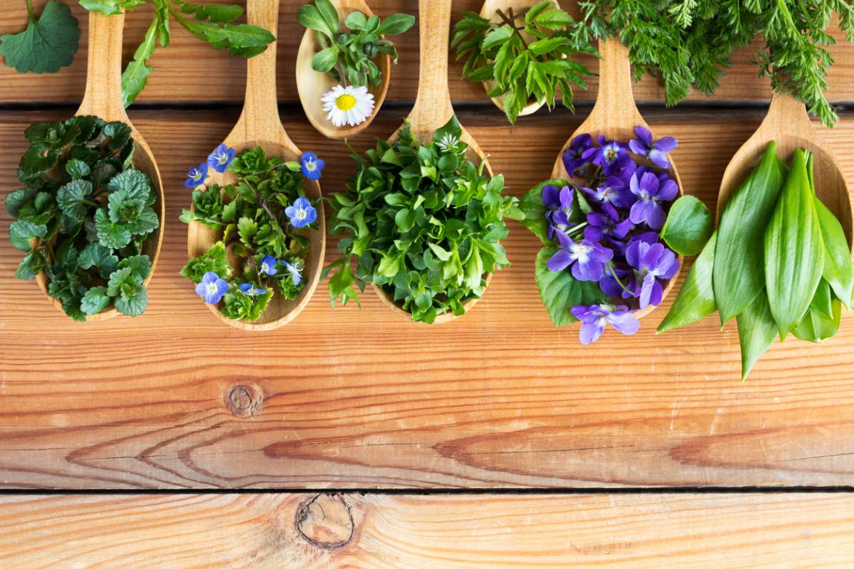 Retour du printemps : les cures !