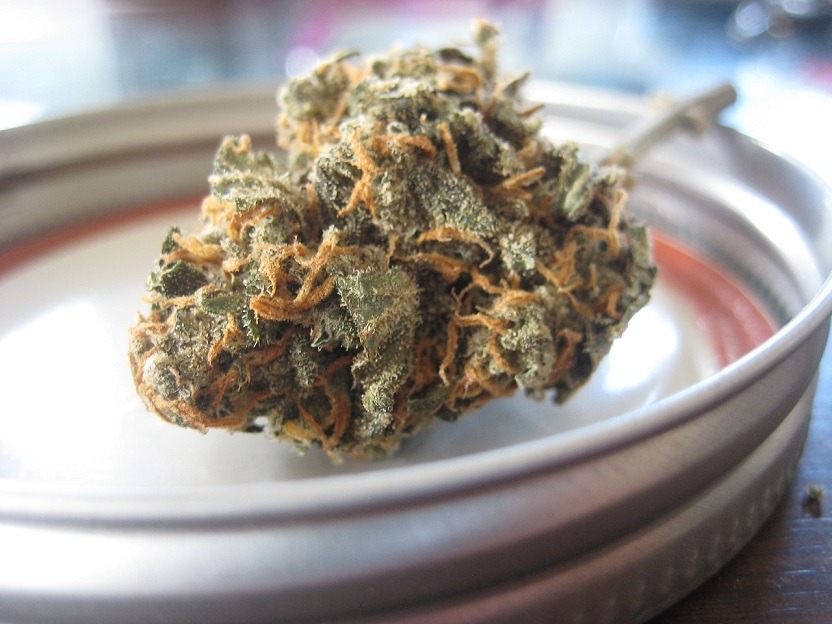 La fleur de CBD : Pourquoi sa consommation est-elle si réputée ?