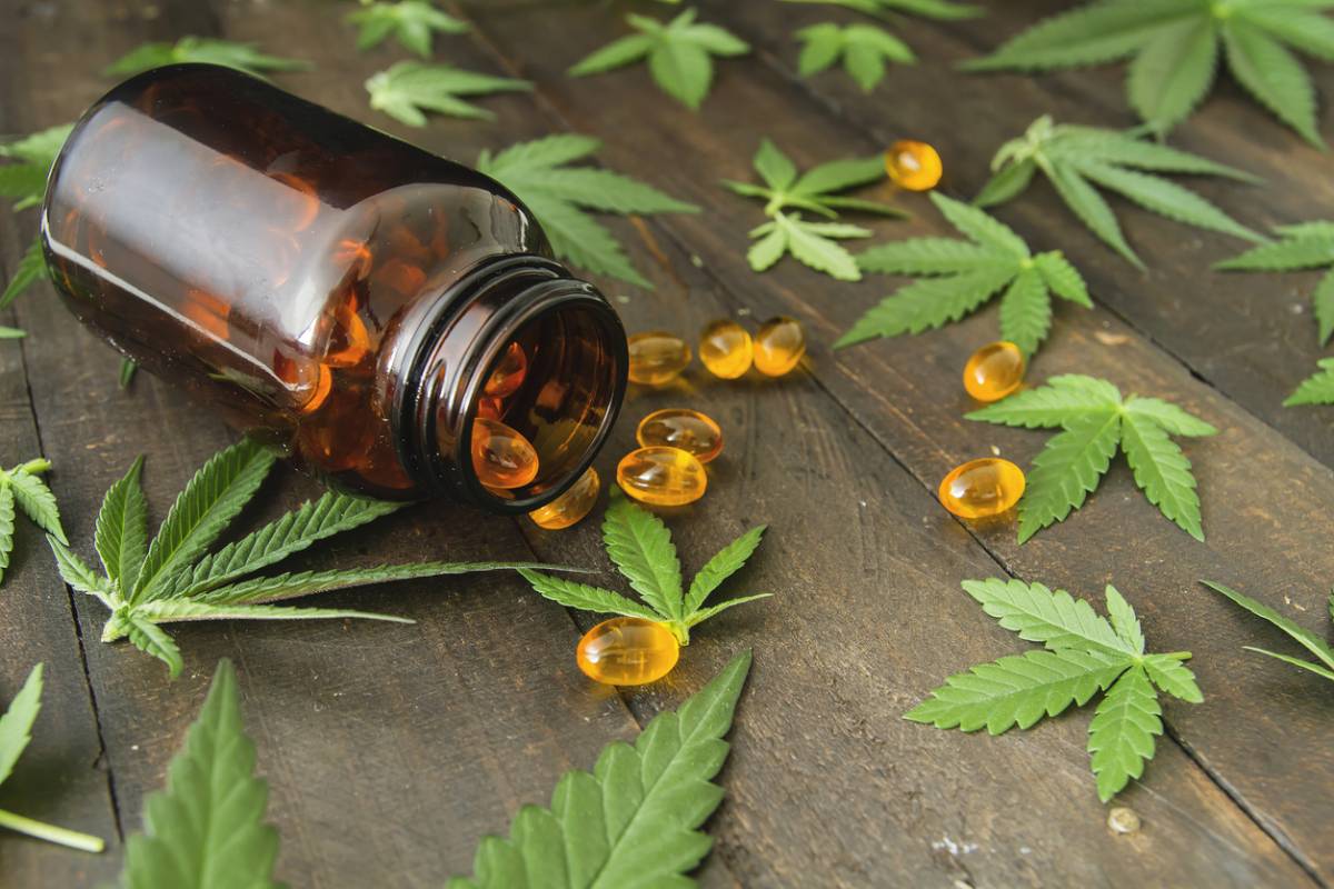 CBD et THC : le point sur ces cannabinoïdes