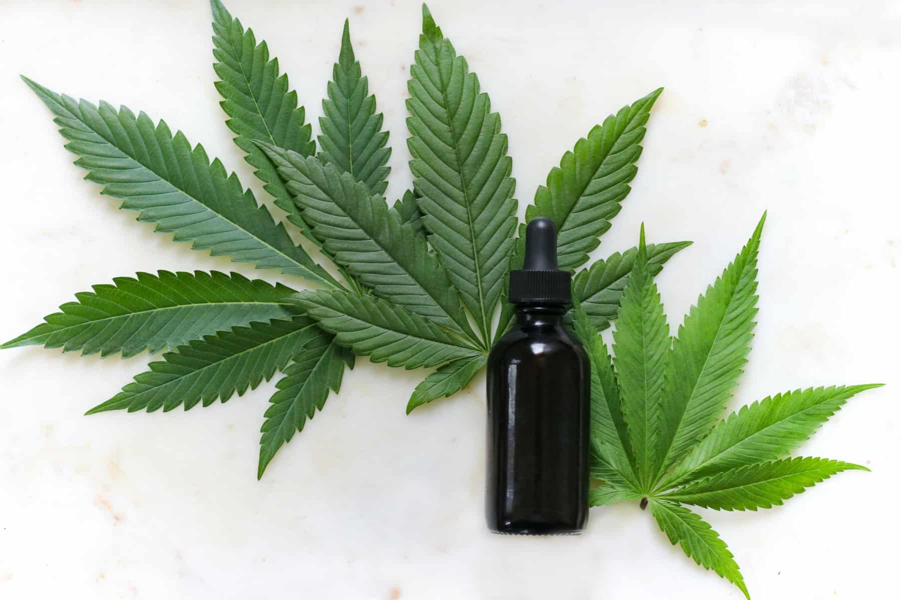 Comment se procurer du CBD en Suisse ?