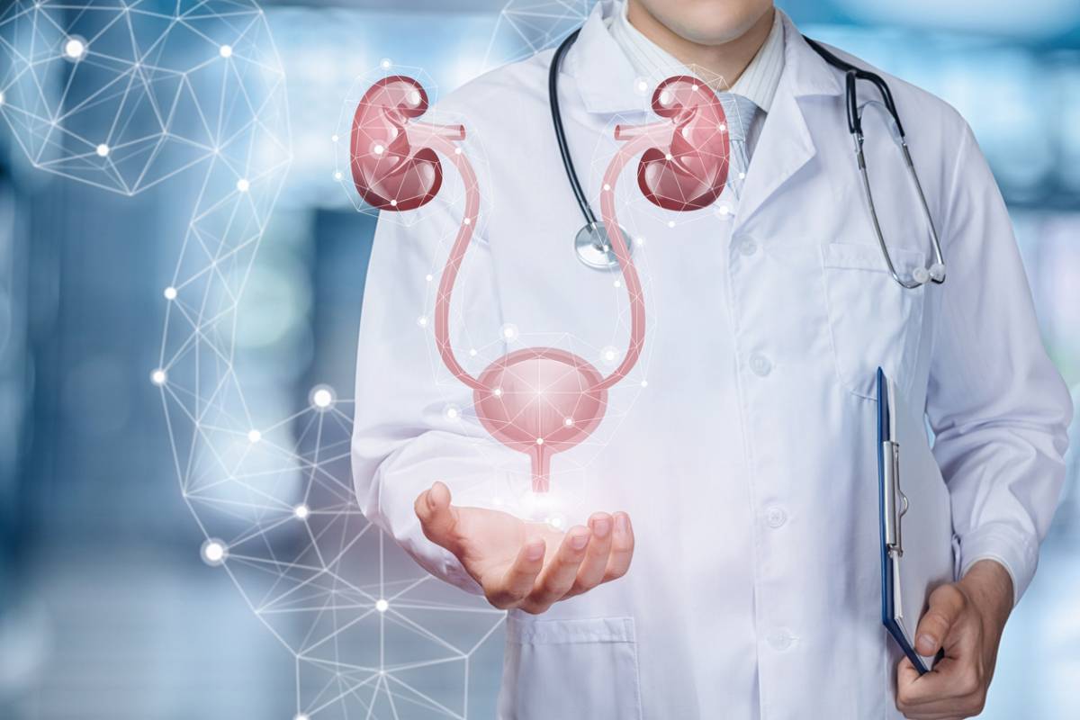 Consultation chez un urologue : pas seulement pour les hommes !