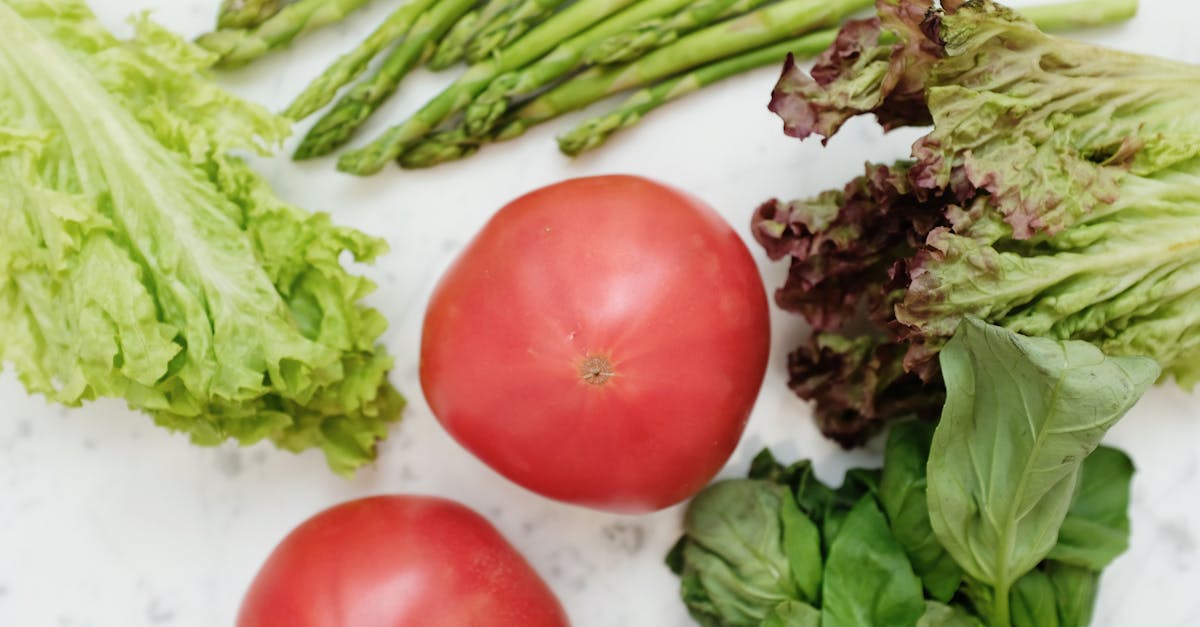 Les fibres alimentaires : Indispensables pour une alimentation équilibrée